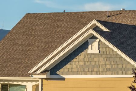 Soft Washing And Your Roof